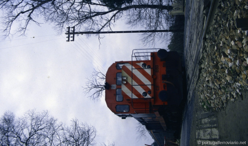 Castelo Branco 1984