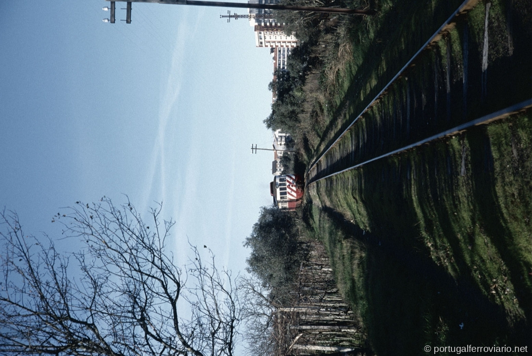 Viseu 1985