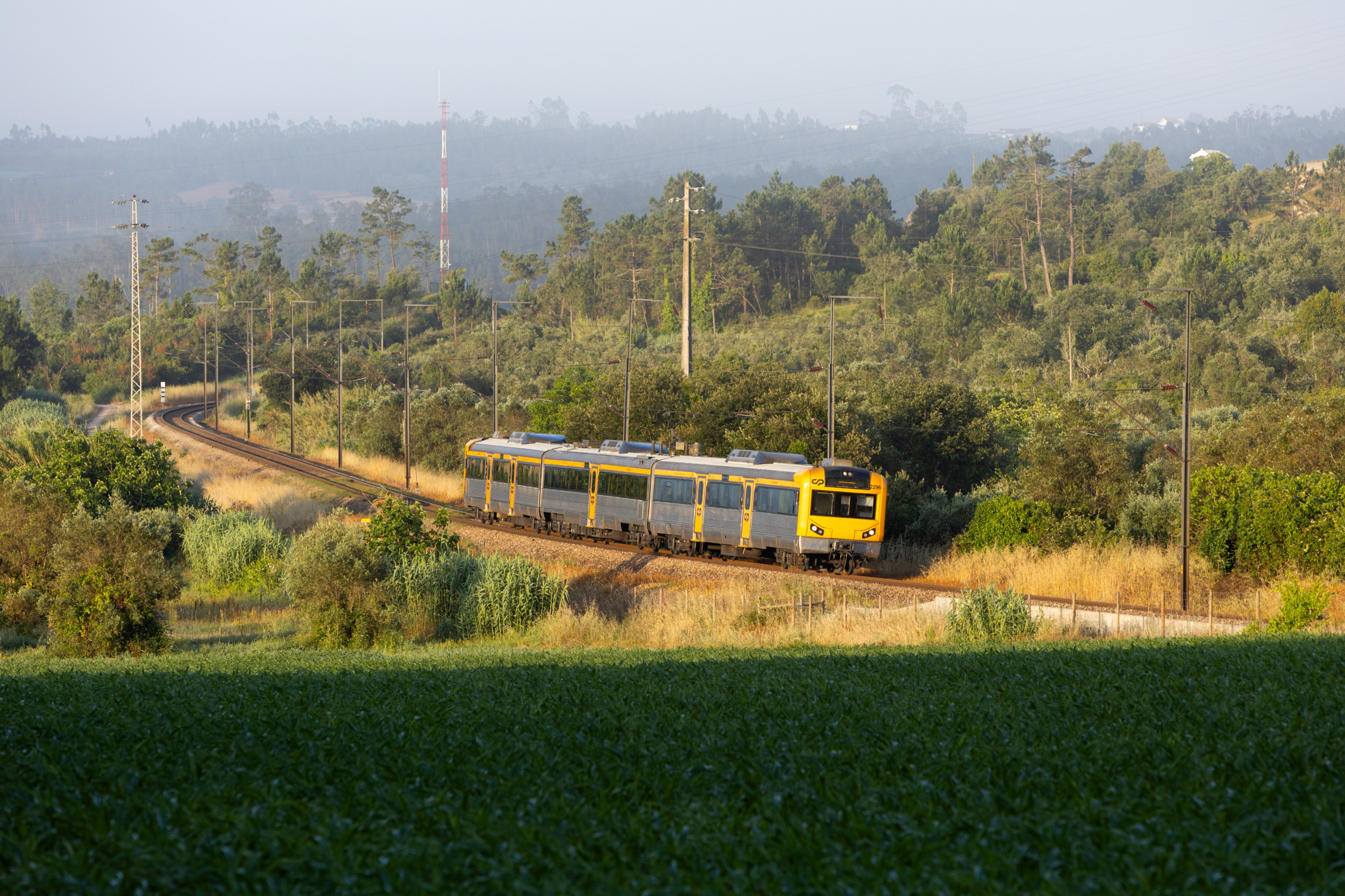 nunocortesao · 08/06/2026